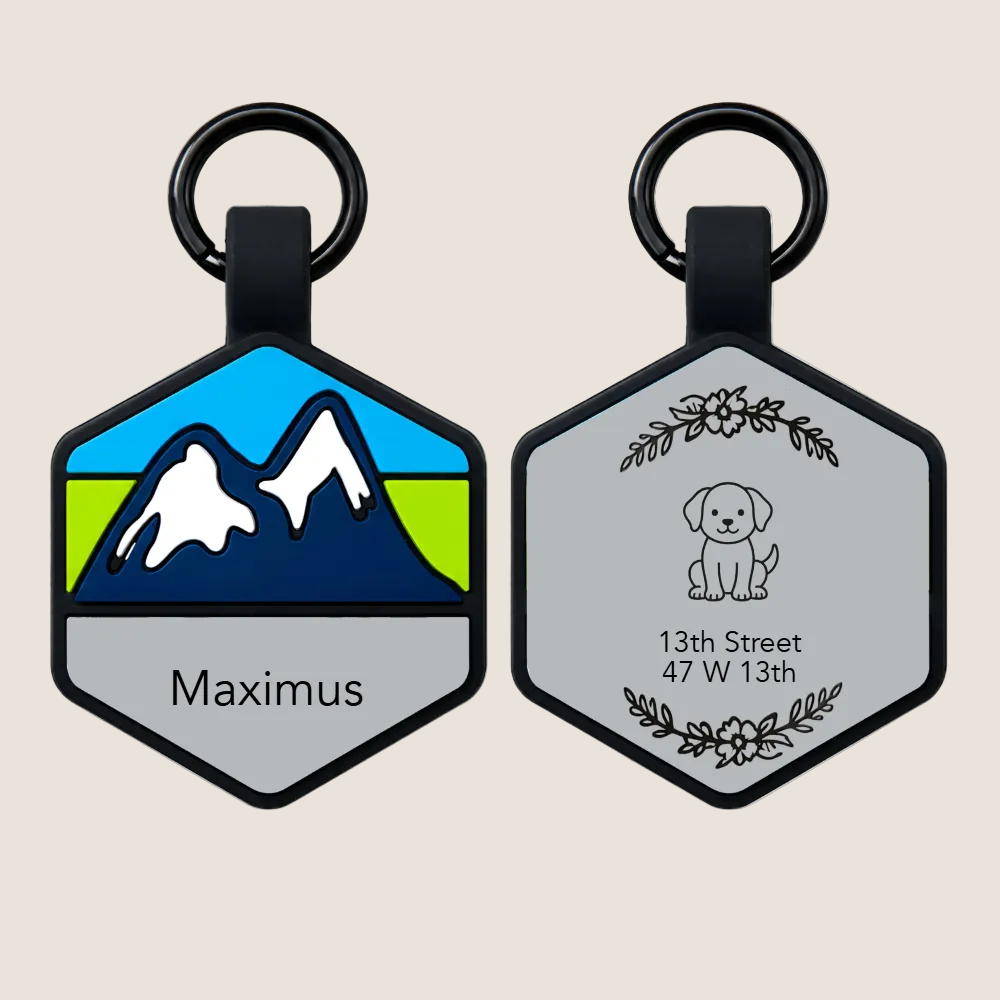 Personalised Pet ID Tag