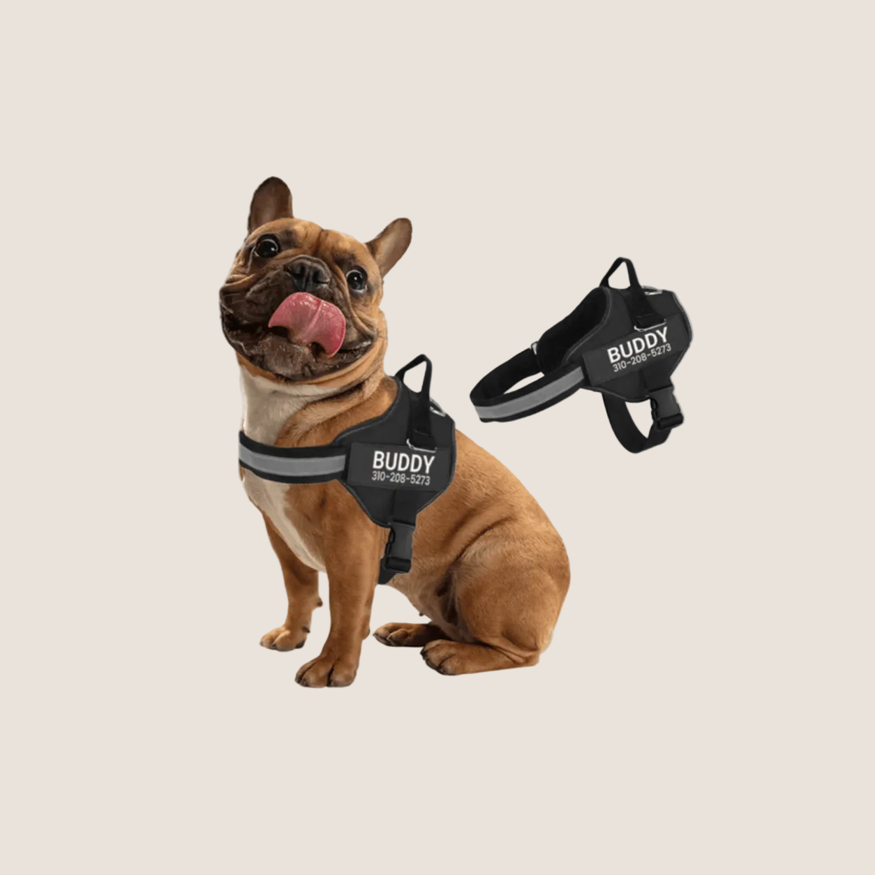 Dog Harness Customization